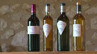 Domaine de l'Ancienne Cure