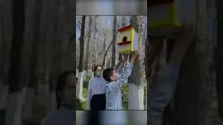 Мектеп ауласы атты шеру