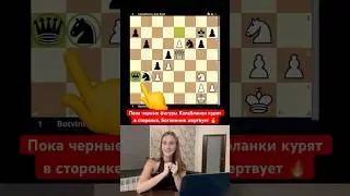 Пока черные фигуры курят в сторонке 😁 #шахматы #chess #chessgame