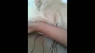 simba is playing