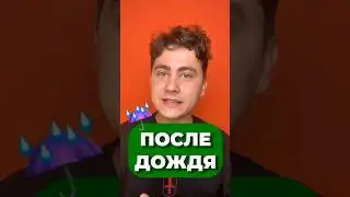 КАК ЗАПАХИ НА И УПРАВЛЯЮТ? 🧐 #химия #наука #егэ2025 #шортс #chemistry #top #shorts #short