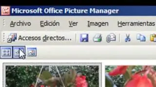 Comprimir Imagenes o fotos con picture manager
