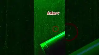 ถ้าไม่ส่องไฟนี่ก็ไม่เห็น ตัวอะไรเนี่ย 🐞🪲🪳🕷️⁉️