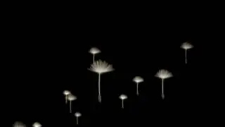 Animated puffball skirt.