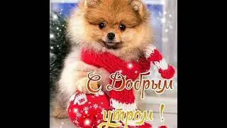 доброе зимнее утро хорошего зимнего дня