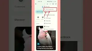 How to Turn Enable Incognito Mode || Incognito Mode On Kaise Karen ||