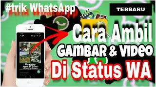 #TrikWhatsApp TERBARU || CARA AMBIL STATUS WA TANPA APLIKASI [100% WORK].