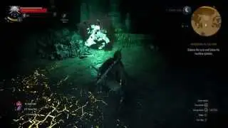 The Witcher 3 - Wandering in the Dark Wraiths (Death March)