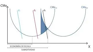 C.6 Subaditividad | Coste - Microeconomía