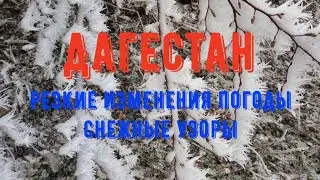 Дагестан изменения погоды в горах