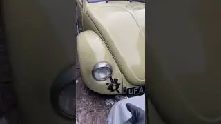 VW BEETLE 1971 BARN FIND FIRST WASH IN 15 YEARS WALK AROUND