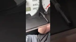 Вся боль в моих выражениях #shorts