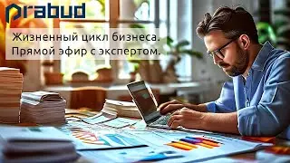 Жизненный цикл бизнеса - прямой эфир с экспертом