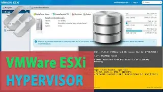 ⚙️How to Recover Data from VMFS Partitions of a VMware vSphere ESXI Virtual Machine⚙️