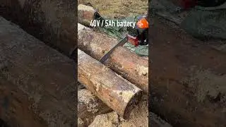 $300 Best Battery Chainsaw
