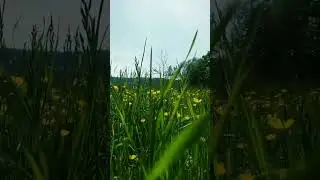 Германия расцвела, запахло весной. 😊