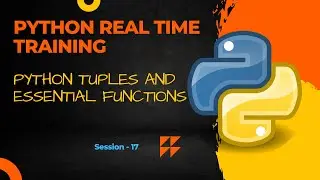 Python Tuples Explained Simply: Essential Functions for Beginners