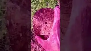 это монтаж?