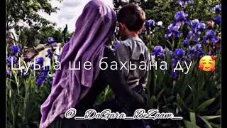 Дала декъал войл