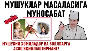ОГОҲ БЎЛИНГ БОЛАЛАР ВА ҲОМИЛАДОРГА МУШУКНИ ЯҚИН ЙЎЛАТМАНГ, МУШУК ДАВО ДЕБ ТАРҚАЛГАН ХАБАР ЁЛҒОН