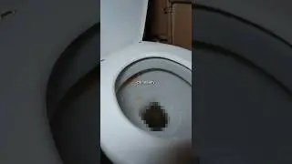 NAJGORSZY hotel 🤢💀