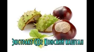 Экстракт СО2 Конский каштан // Средство от целлюлита // Против варикоза на ногах
