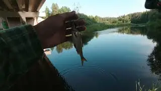 река Торопа