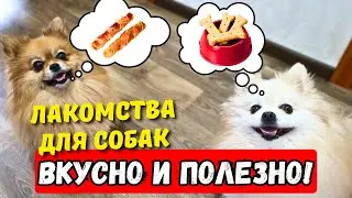 🐾 ЛУЧШИЕ Лакомства ДЛЯ СОБАК породы Шпиц