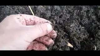 chuvalchan boqishni hohlaganlar uchun malumot 99 654 92 96
