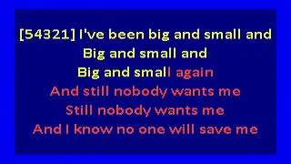 mitski -  nobody (karaoke)