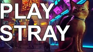 Why you should play Stray - Review
