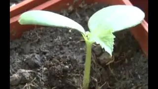 Специальный репортаж 