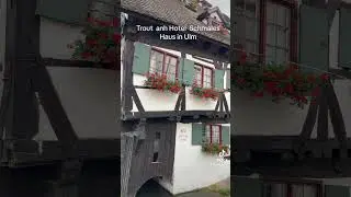 #Trout  anh Hotel  Schmales Haus in #Ulm #Forelle und Hotel  Schmales Haus in Ulm #cá @minhfuzius