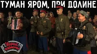 Играй, гармонь! | Алексей Ефимов и Ансамбль «Браты» (г. Волгоград) | Туман яром при долине