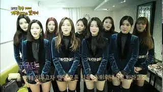 180217 KBS1 설특집 황금 개띠 견공을 말하다 GUGUDAN Cut