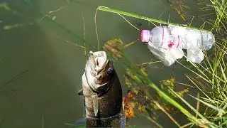 The Best Creative Idea Of Fishing || Khmer Creative Idea Of Fishing