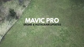 Split Your Panoramic Photo Across Instagram Carousel | Tutorial with DJI