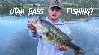 BASS IN UTAH??
