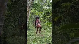 Dancing In The Coffee Garden