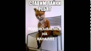 Кличко - танцор! ржака! январь 2015