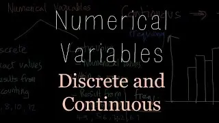 Numerical Variables | Discrete and Continuous