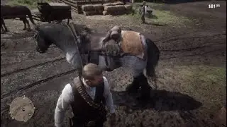 Red Dead redemption 2 how to sell Pelts and carcass