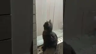 Кто там?