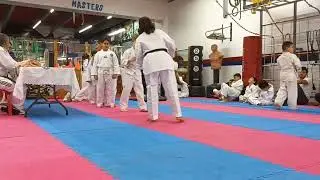 Лео, отчет по Тайквондо 6