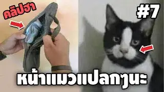 Ep.7 เบสไวน์ รวมคลิปฮา SS4 - [ พากย์นรก ]