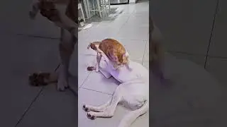 Нападение