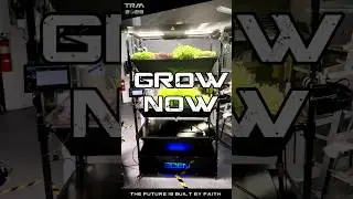 Revolutionizing Food Production Growing Your Own Future #food  #investing