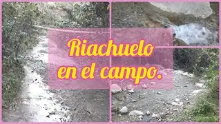 Riachuelo cerca de nuestra casa en el campo.