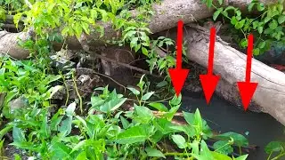 JIKA MELIHAT TEMPAT SEPERTI INI ITU PERTANDA ADANYA SARANG IKAN