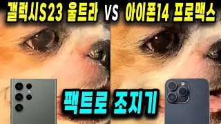 갤럭시S23 울트라 VS 아이폰14 프로맥스 비교리뷰 끝판왕! 누가 최고의 카메라인가? 분명한 수준차이!